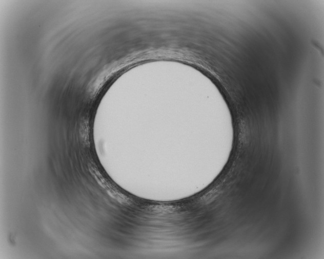 X0000102241499200808221318