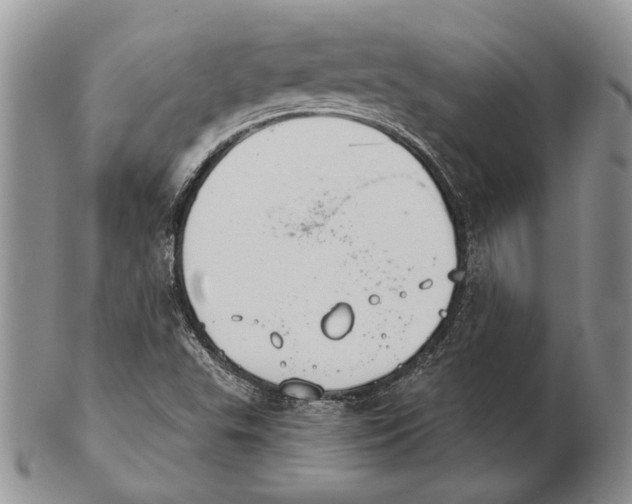 X0000102241503200808221318