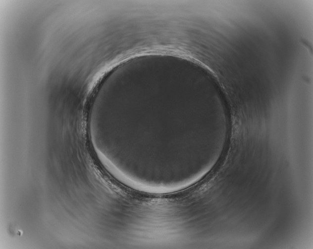 X0000102241506200808221319