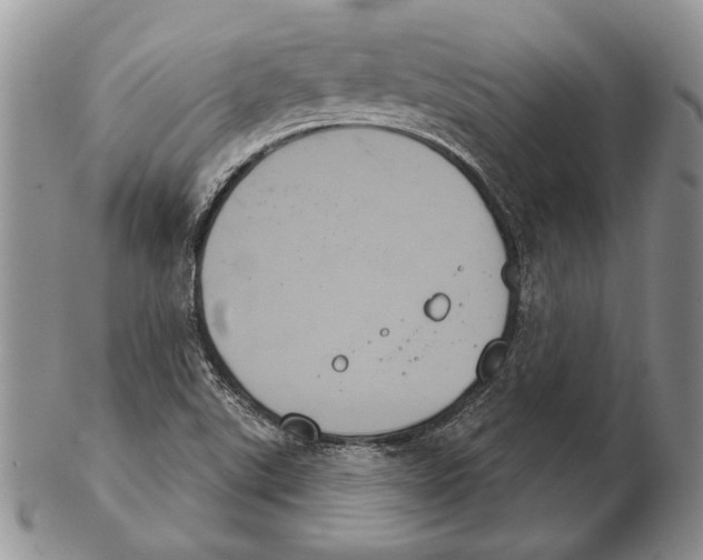 X0000102241507200808221319