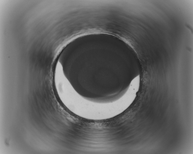 X0000102241508200808221319