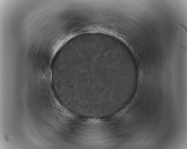 X0000102241509200808221319