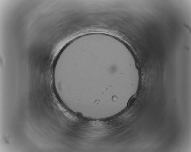 X0000102241511200808221319