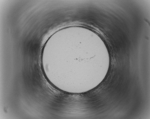 X0000102241512200808221319