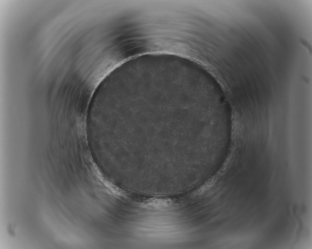 X0000102241513200808221319