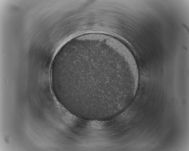 X0000102241514200808221319