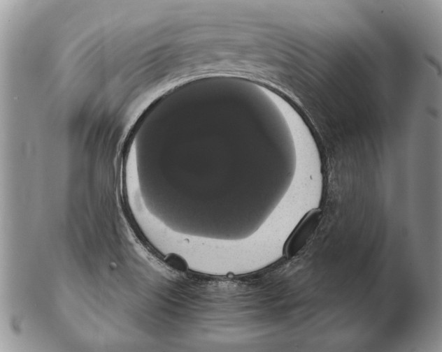 X0000102241515200808221319