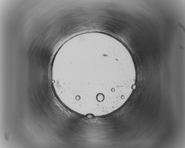 X0000102241516200808221319