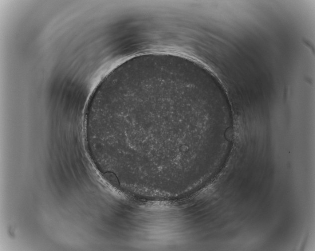 X0000102241517200808221319