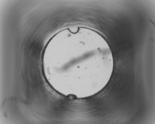 X0000102241518200808221319