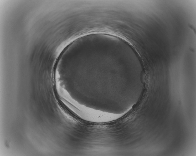 X0000102241519200808221319