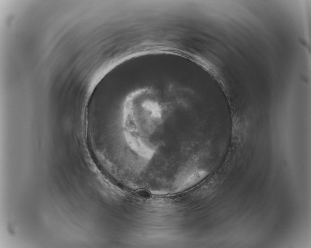 X0000102241520200808221319