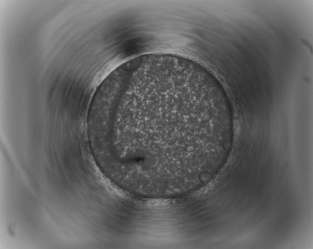 X0000102241521200808221319