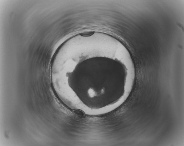 X0000102241522200808221319