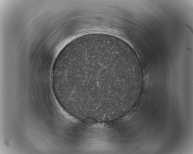 X0000102241523200808221319