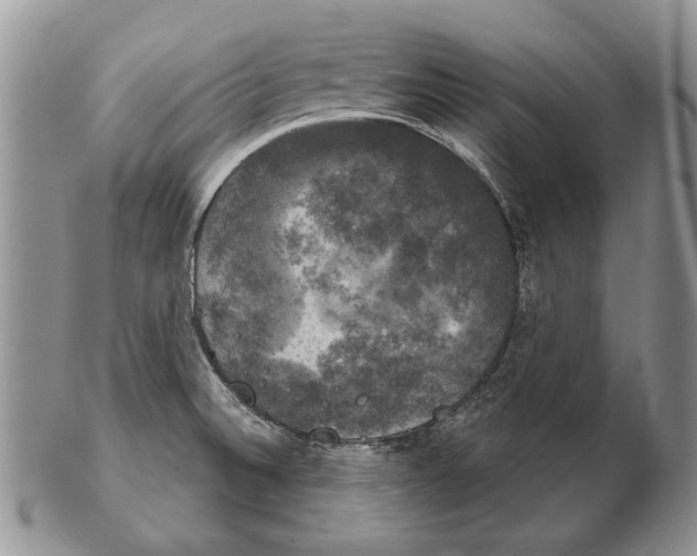 X0000102241524200808221319