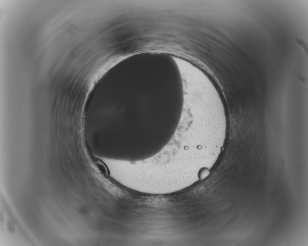 X0000102241525200808221319