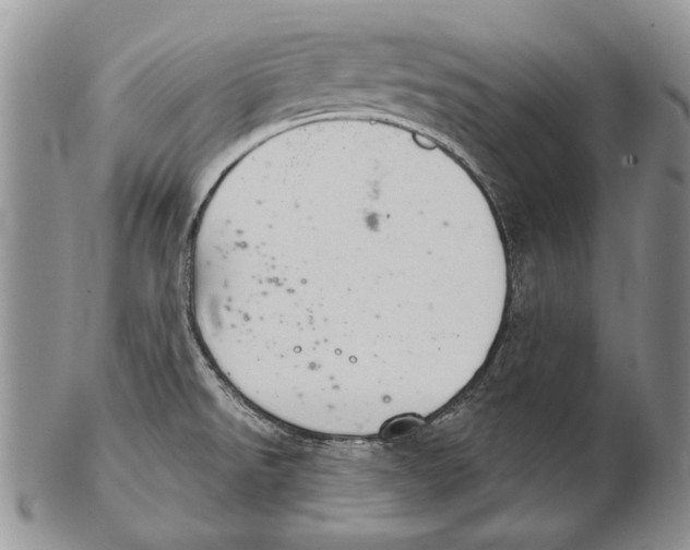 X0000102241526200808221319