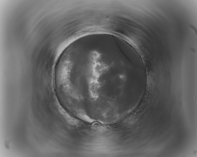 X0000102241528200808221319