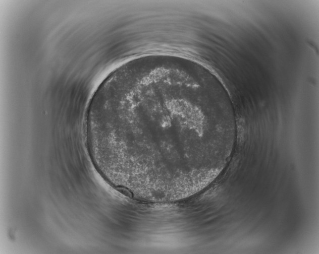 X0000102241531200808221319