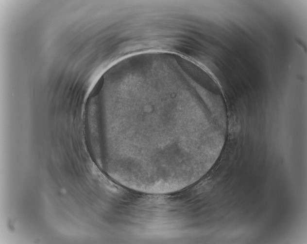 X0000102241532200808221319