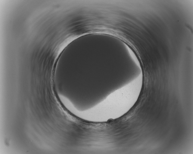 X0000102241533200808221319