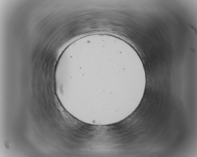 X0000102241534200808221319