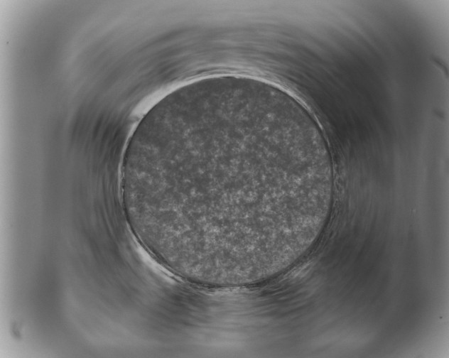 X0000102241535200808221319