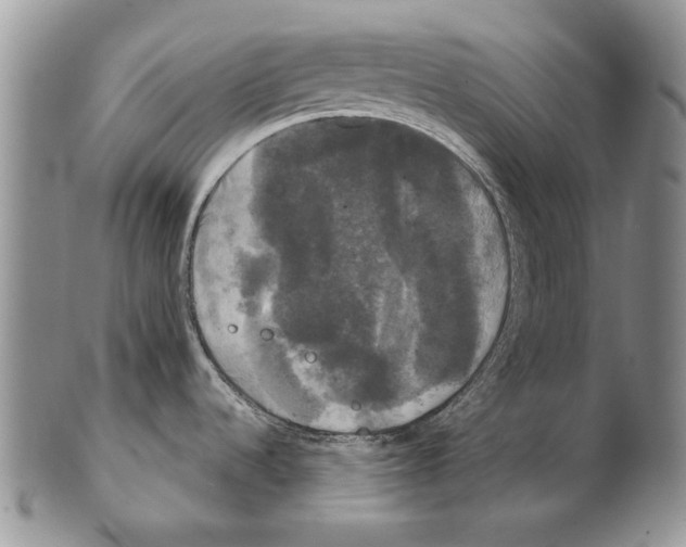 X0000102241536200808221319