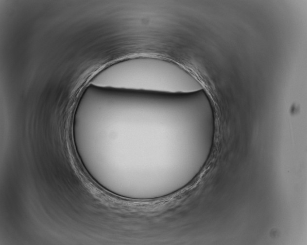 X0000102250001200807250912