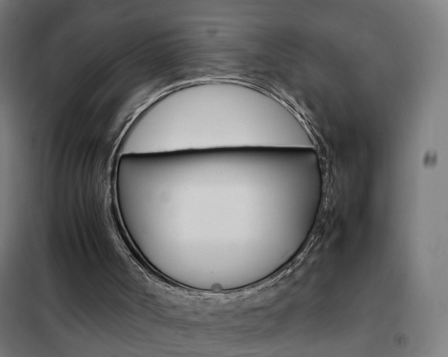 X0000102250002200807250912