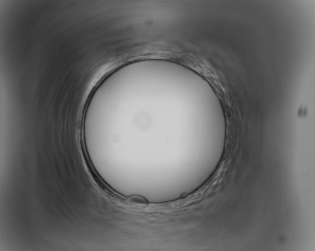 X0000102250003200807250912