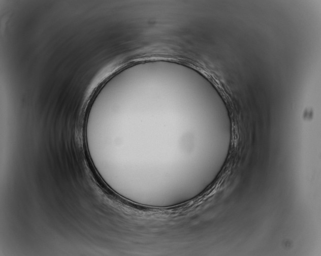X0000102250004200807250912
