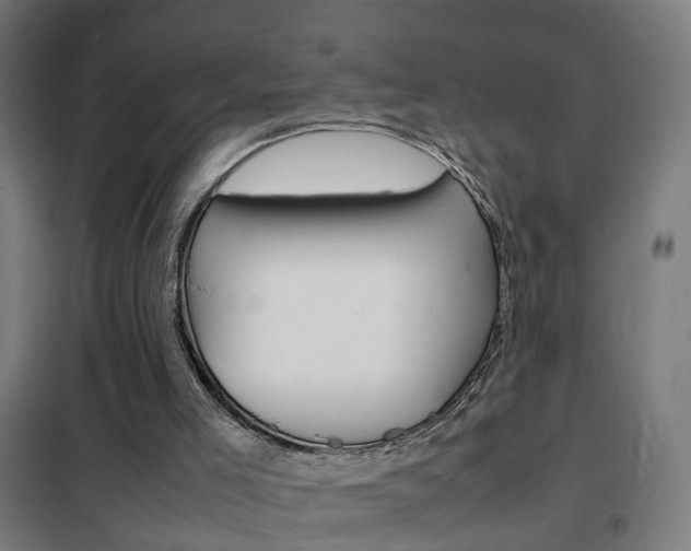 X0000102250005200807250912