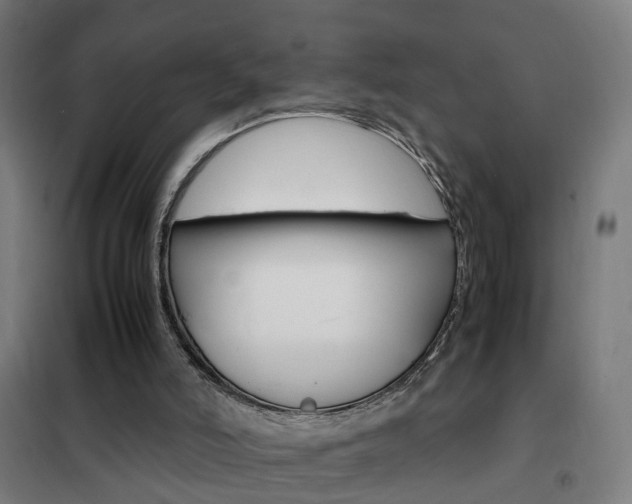 X0000102250006200807250912