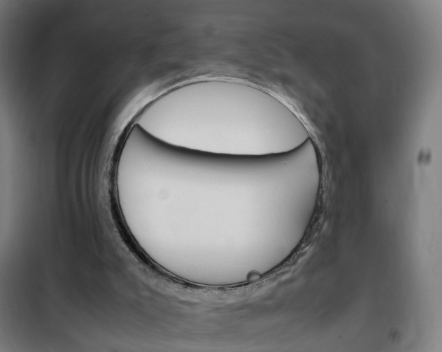 X0000102250007200807250912