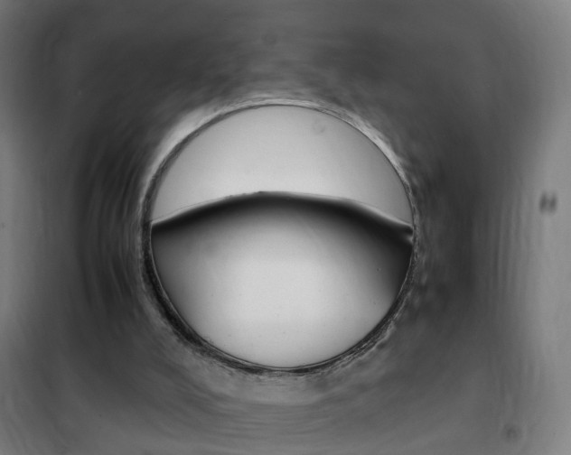 X0000102250008200807250911