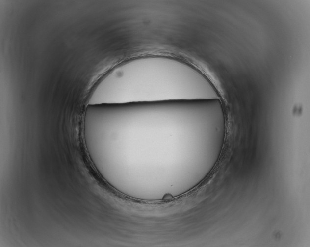 X0000102250010200807250911