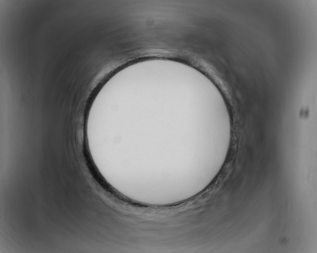 X0000102250011200807250911