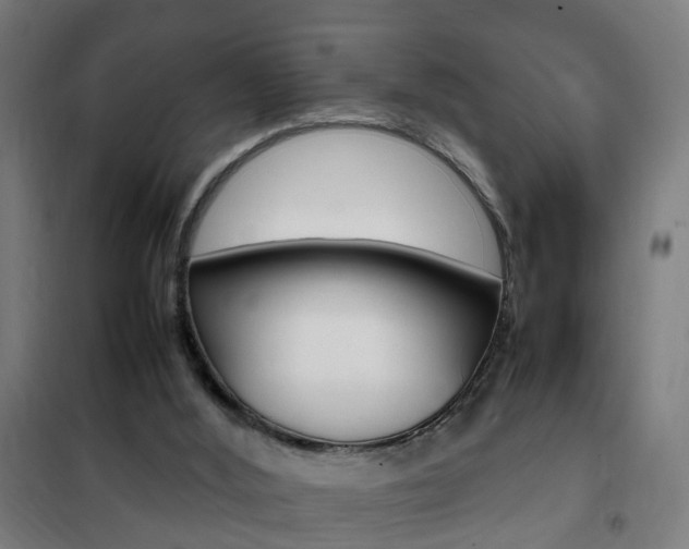 X0000102250012200807250911