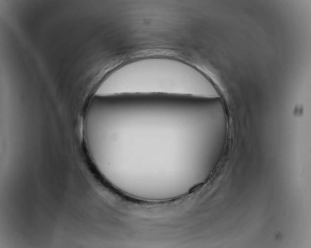 X0000102250013200807250911