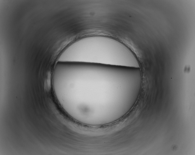 X0000102250014200807250911