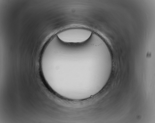 X0000102250015200807250911