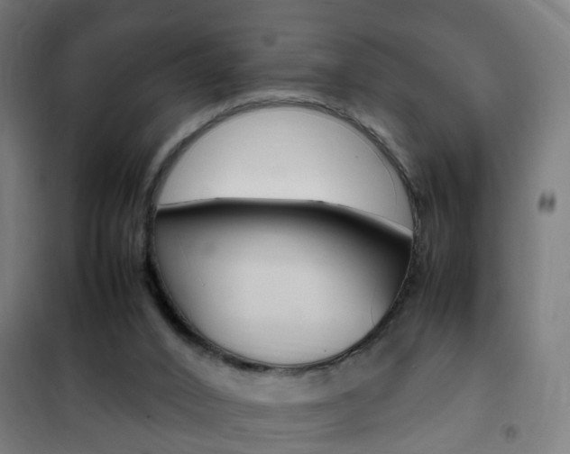X0000102250016200807250911