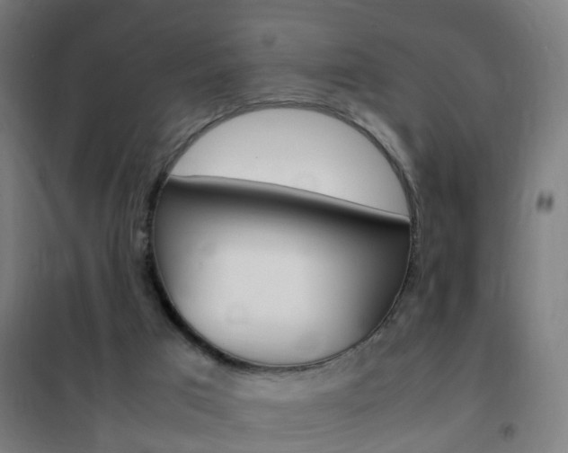 X0000102250017200807250911