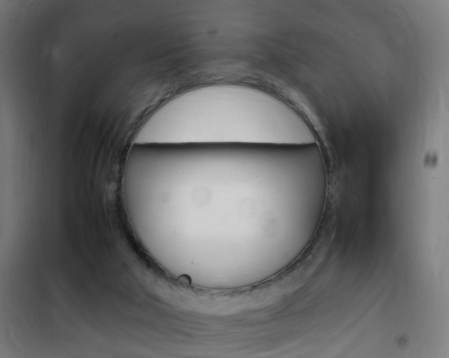 X0000102250018200807250911