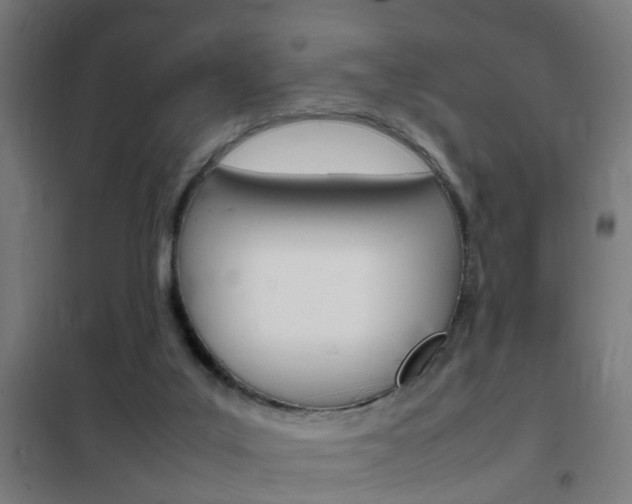 X0000102250019200807250911