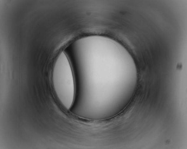 X0000102250020200807250911