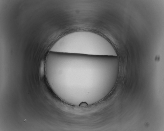 X0000102250022200807250911