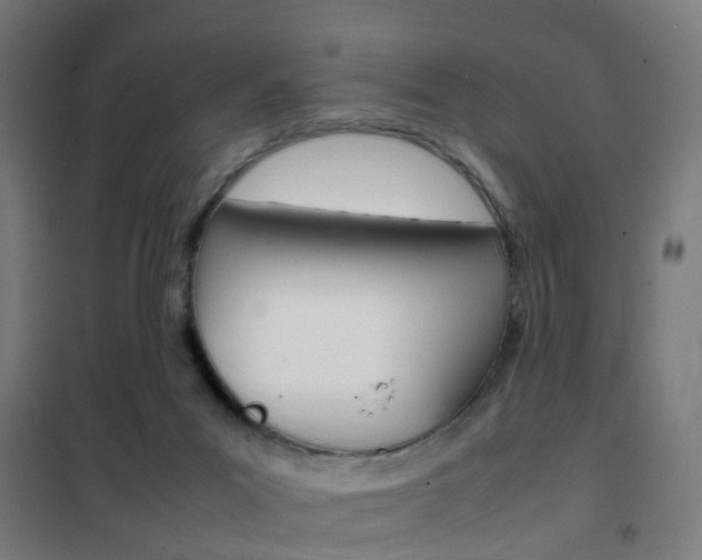 X0000102250023200807250911